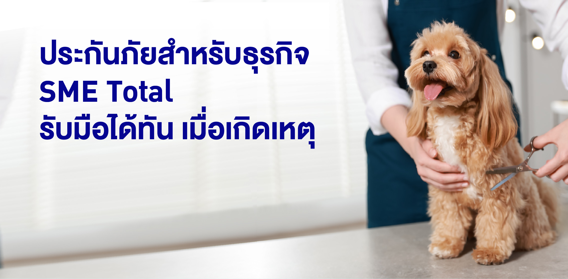 ทุนประกันภัยสูงสุด 50 ล้านบาท