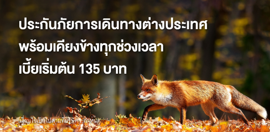 รับโปรพิเศษ 3 ต่อ